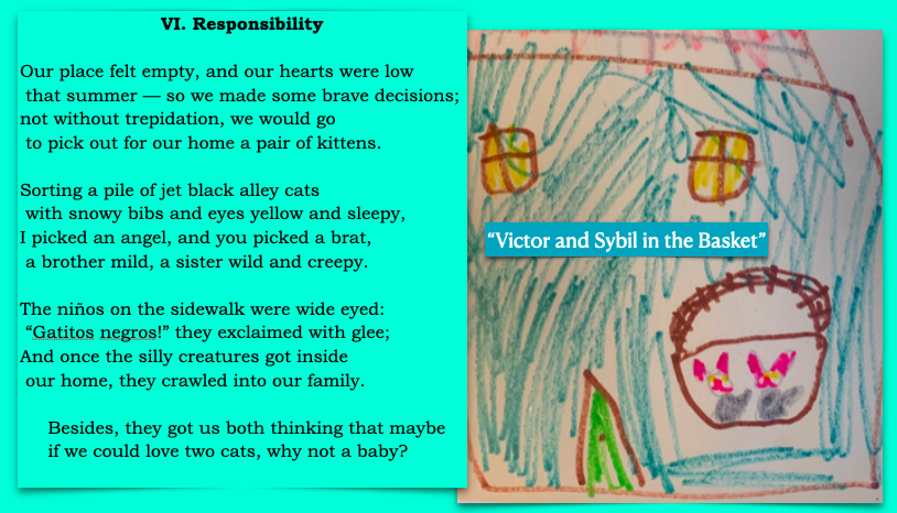 6. Responsibility